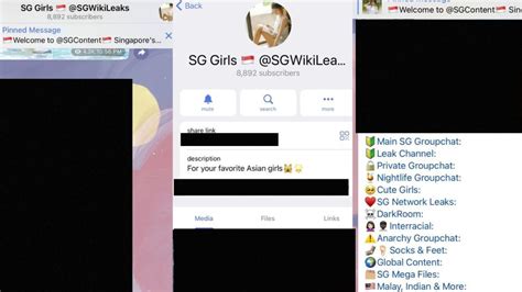 singapore leaked|Police investigating obscene Telegram group chat .